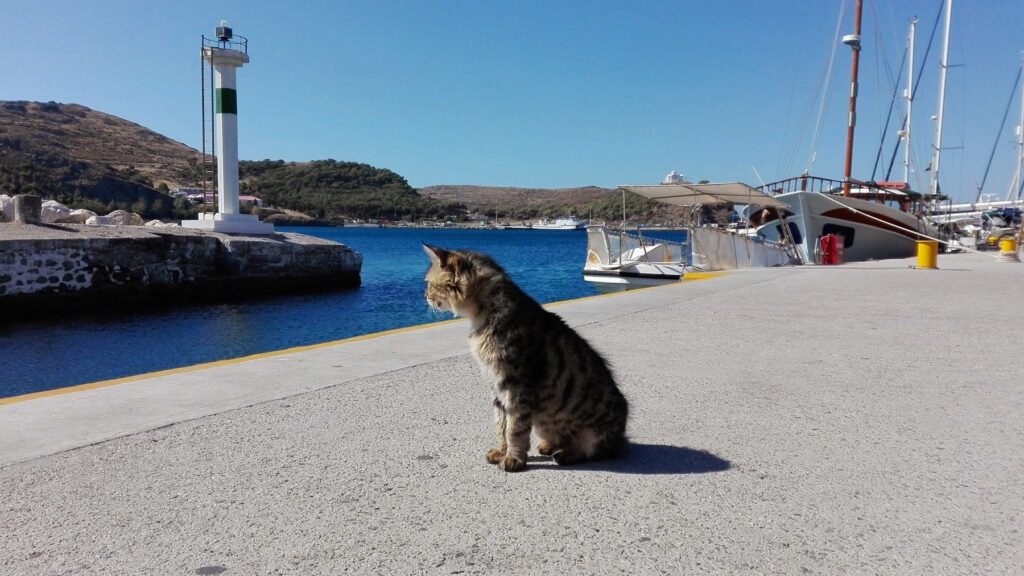 visiting Lemnos