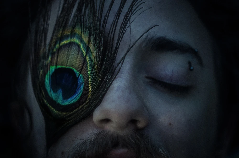 aesthetic education. image of man with a peacock feather.